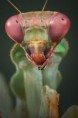 /album/fotogaleria1/ma016-jpg/